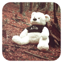 ตุ๊กตาหมีวอลล์เปเปอร์สด Icon
