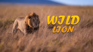 Lion Simulator Animal Games 3D screenshot 3