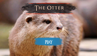 The Otter screenshot 15