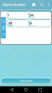 Eigenvalues Calculator screenshot 4