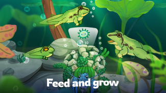 Pondlife — Relaxing Fish Game screenshot 3