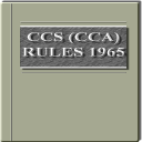 India - Central Civil Services Rules, 1965 Icon