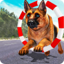 Dog Training: Dog Games Icon