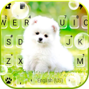 Cute White Puppy Keyboard Background