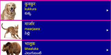 Learn Sanskrit From Telugu screenshot 2