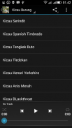 Kicau-Kicau Burung Terlengkap screenshot 3