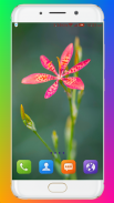 Flower Wallpaper screenshot 12