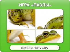 Звуки животных для детей screenshot 8