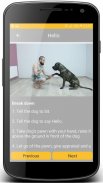 Dog and Puppy Training! exercises and tricks screenshot 12