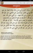 Hadith Collection - All in One screenshot 9