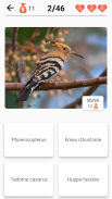 Animaux - Mammifères, oiseaux! screenshot 3