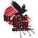 Black Bird Radio