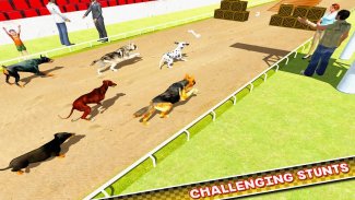 Dog Training Jump & Stunt Sim screenshot 1