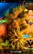 Under Water Fishes LWP screenshot 6