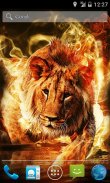 Fire Lion Live Wallpaper screenshot 0