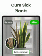 Plantiary: 植物識別子, 花、昆虫 screenshot 15
