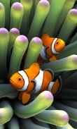 Sim Aquarium Live Wallpaper screenshot 4