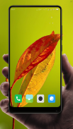 Leaf  Wallpaper HD screenshot 3