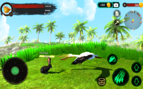 The Pelican screenshot 5