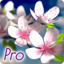 Spring Flowers 3D Parallax Pro