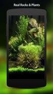 3D Fish Aquarium Wallpaper HD screenshot 1