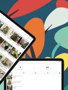 Monstera - Growing guides screenshot 7