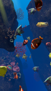 Ocean Aquarium screenshot 8