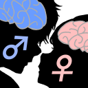 Male brain? Female brain?