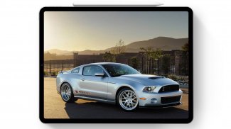 Wallpapers For Mustang Shelby Cars screenshot 6