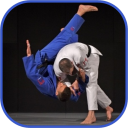 Judo in brief Icon