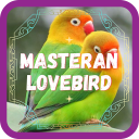 Masteran Lovebird Ngekek