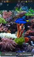 Aquarium Hintergrundbilder screenshot 2