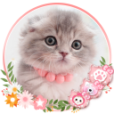 Cute, Kawaii Kitty Cat Theme & Live Wallpaper