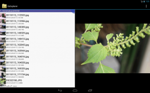 Ex Explorer screenshot 1