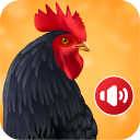 Animal Ringtones: Animal Sound