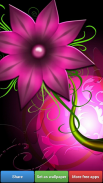 Flowers HD Wallpapers screenshot 4