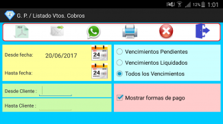 gestión facturas screenshot 9