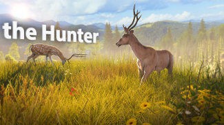 Animal Hunter Deer Hunt Game screenshot 0