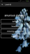 Vocabulary Express screenshot 2