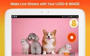 LiLy Live-Live Stream, Go Live screenshot 5