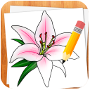 How to Draw Flowers Icon