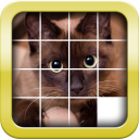 Slider Mania Tiere Pro (Puzzles)