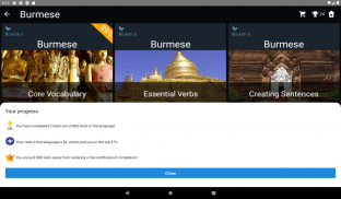 Burmese Language Tests screenshot 2