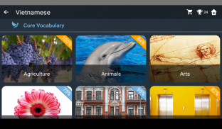 Vietnamese Language Tests screenshot 17