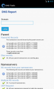 DNS Tools screenshot 1