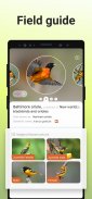 Picture Bird - Bird Identifier screenshot 1