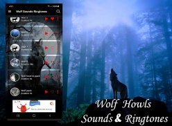 Wolf Sounds Ringtones screenshot 4