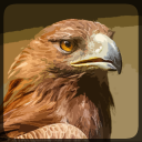 Eagle Hunting Journey Icon