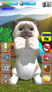 Talking Kittens virtual cat that speaks, take care screenshot 0