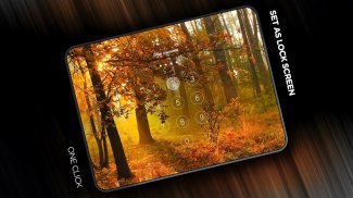 Fonds d'écran d'automne en 4K screenshot 2